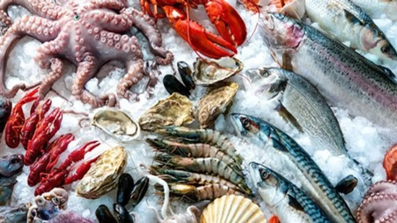 تراجع صادرات المأكولات البحرية النرويجية إلى 13.8 مليار كرونة في فبراير 2026